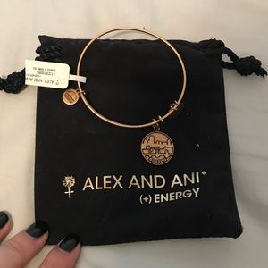 NWT Boston Alex and Ani